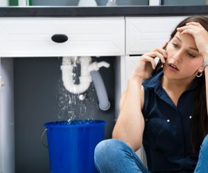 About Plumbers Pros Williams, CA